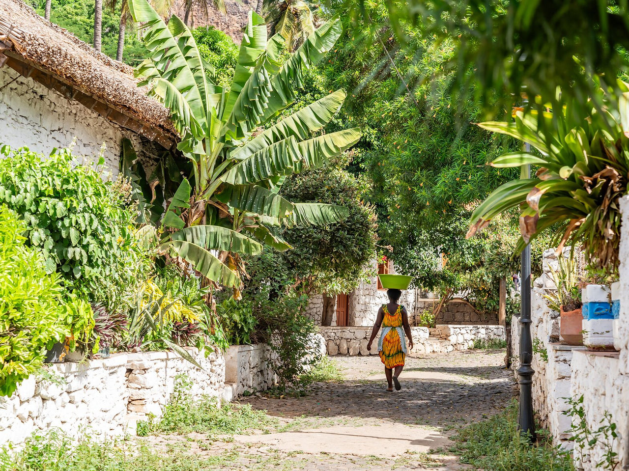 Mujer caboverdiana caminando por una calle estrecha con un alguidar en la cabeza, rodeada de vegetación tropical