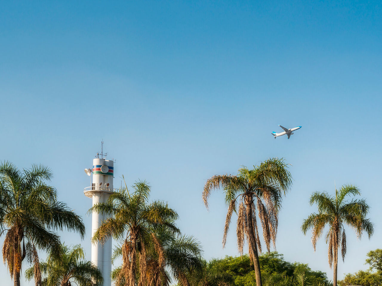 Avión comercial despegando del aeropuerto de Buenos Aires, con una torre de control y palmeras en primer plano