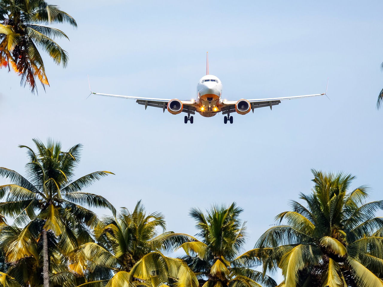 Avião comercial a preparar-se para aterrar na pista 