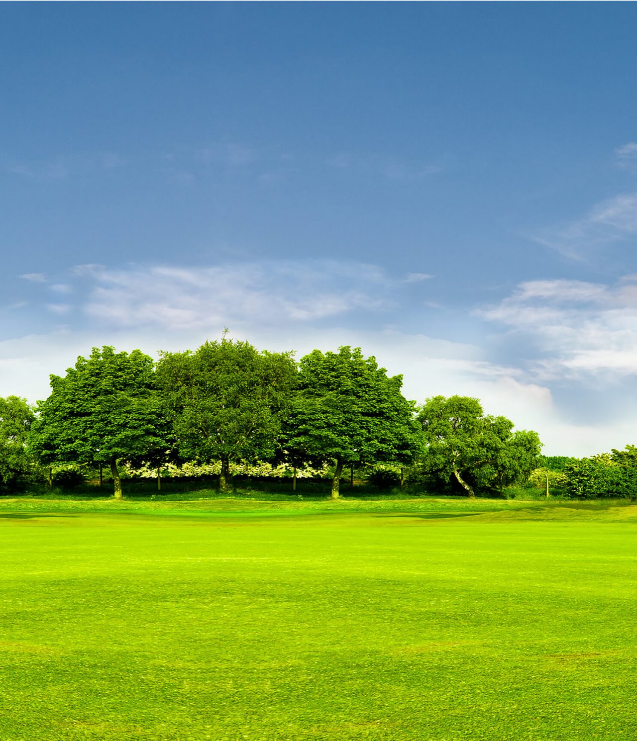 Amplo campo verde cercado por árvores altas sob um céu azul com algumas nuvens, em Buenos Aires