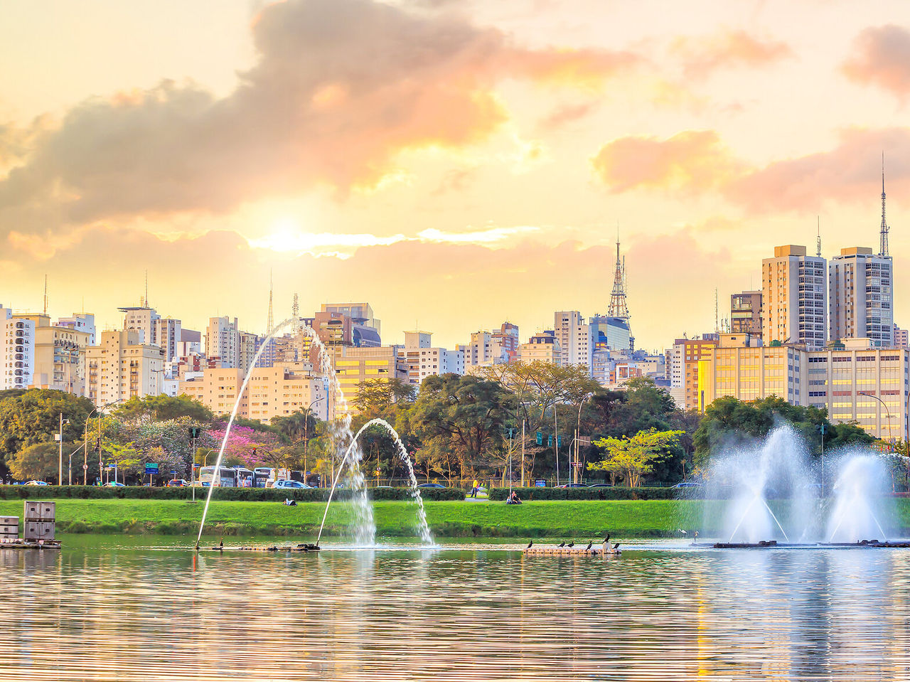 Vista do Parque Ibirapuera, com os prédio modernos de São Paulo em segundo plano