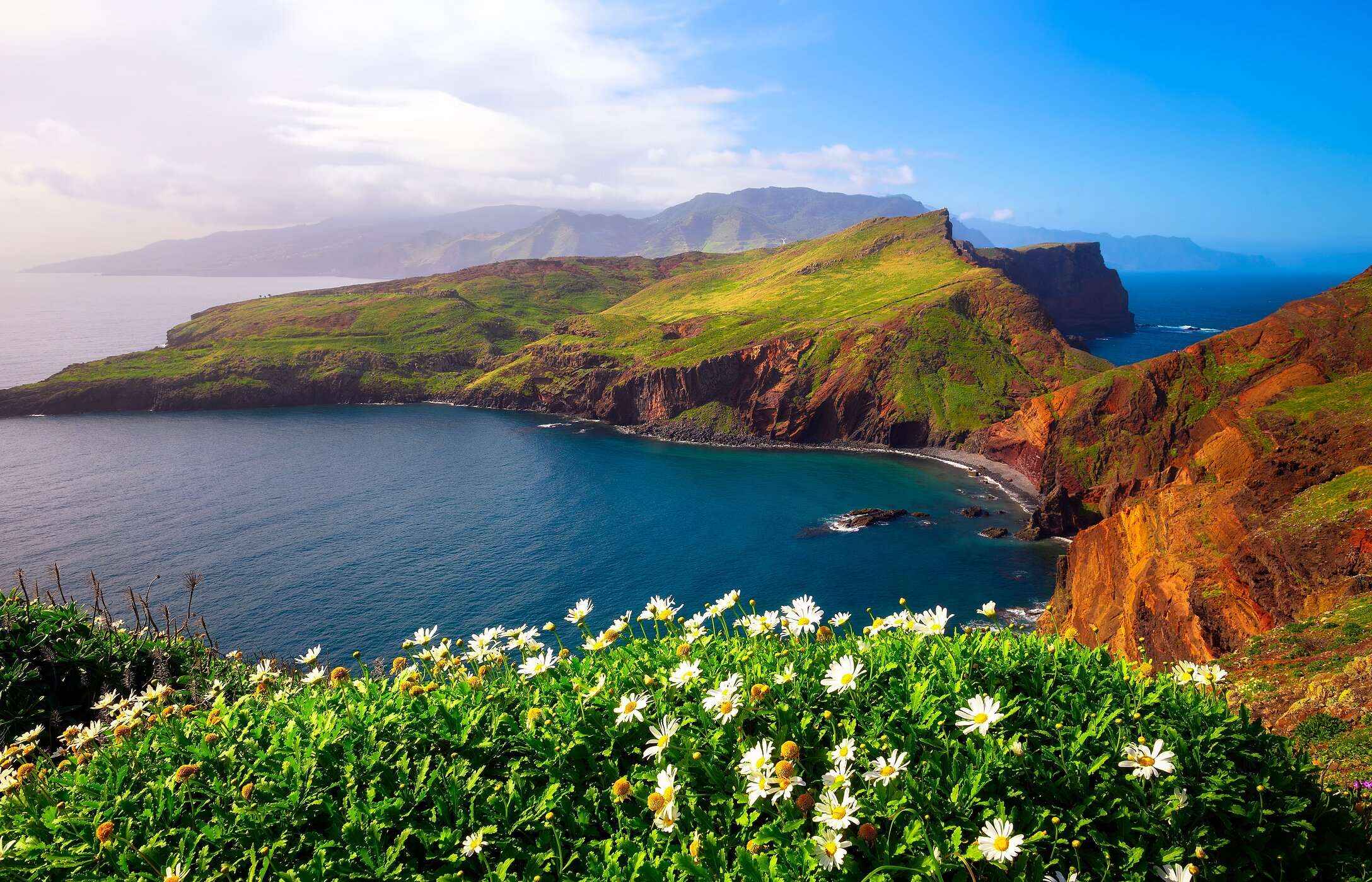 View of the iconic Ponta de São Lourenço on Madeira Island, surrounded by the ocean and with flowers in the foreground.