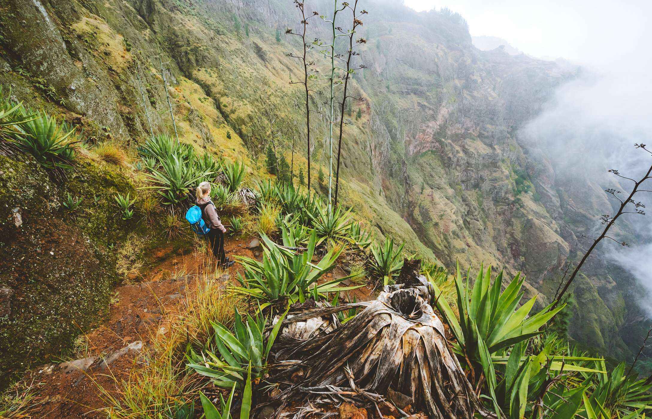 Mujer caminando en un paisaje montañoso con plantas y un valle profundo en Vale de Paúl, Cabo Verde.