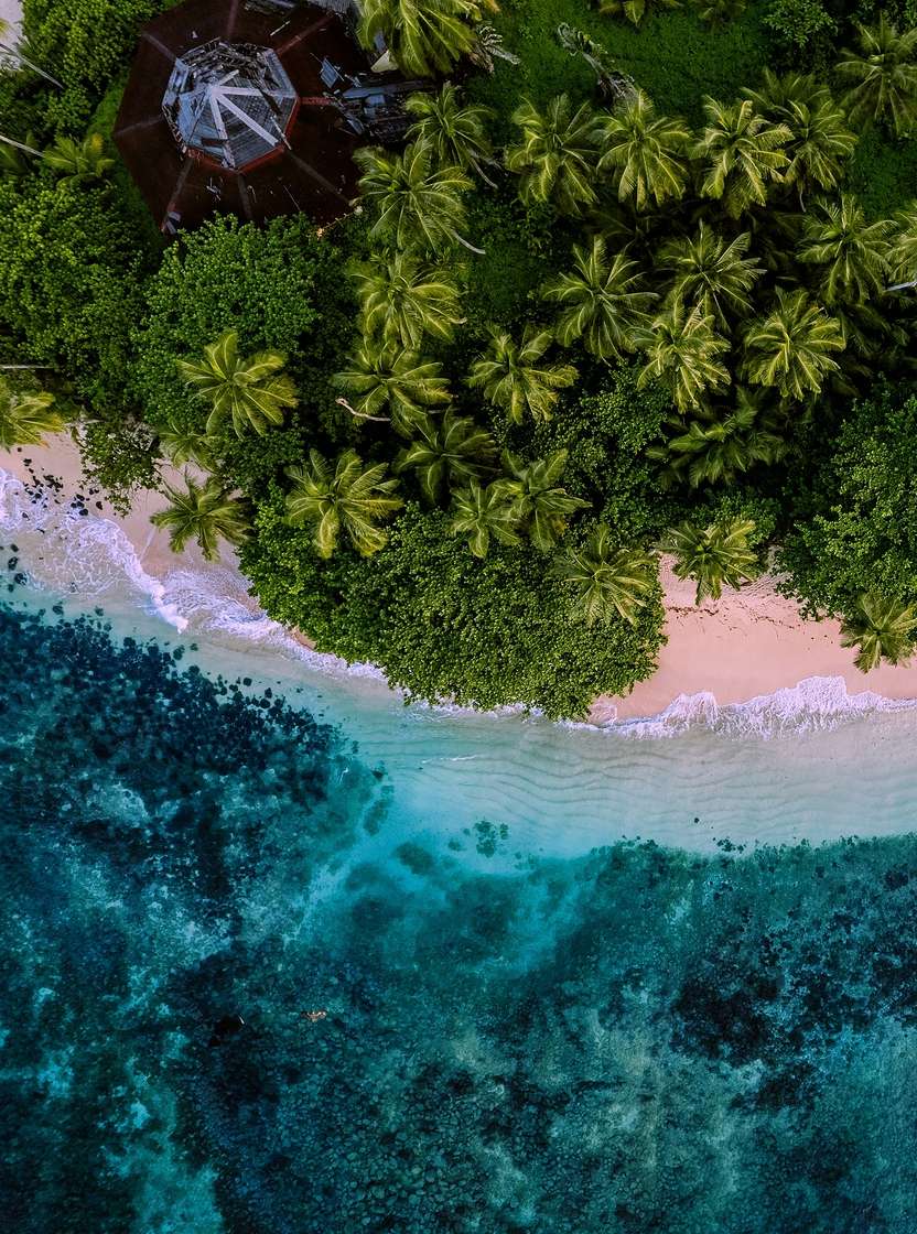 Isla tropical de São Tomé con playa de arena clara, aguas cristalinas y exuberante vegetación de palmeras