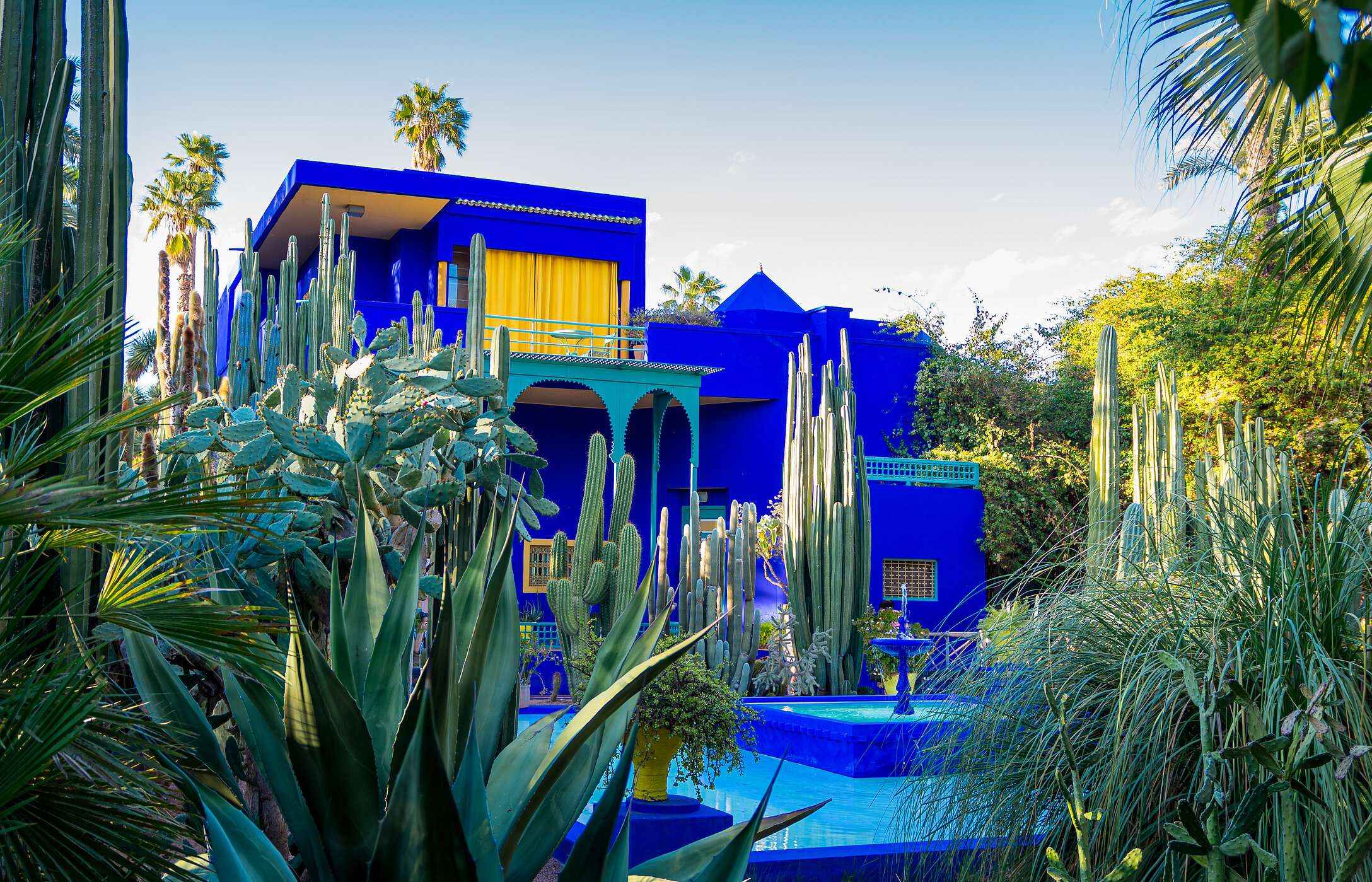 De Majorelle-tuin met een grote diversiteit aan botanische soorten en een felblauw huis met gele gordijnen en een fontein