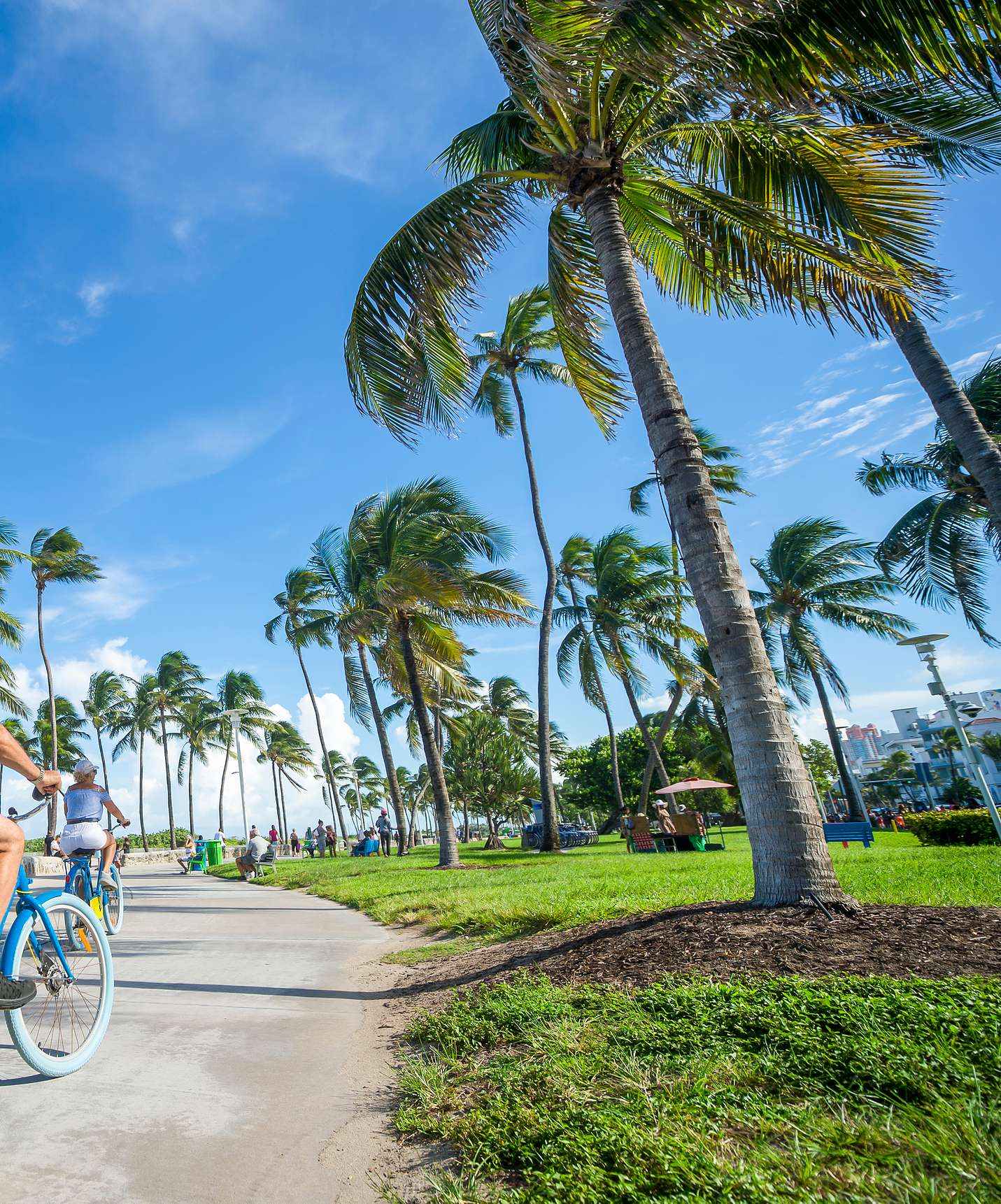 Mensen fietsen op fietspad omringd door palmbomen en mensen op het gras in Miami