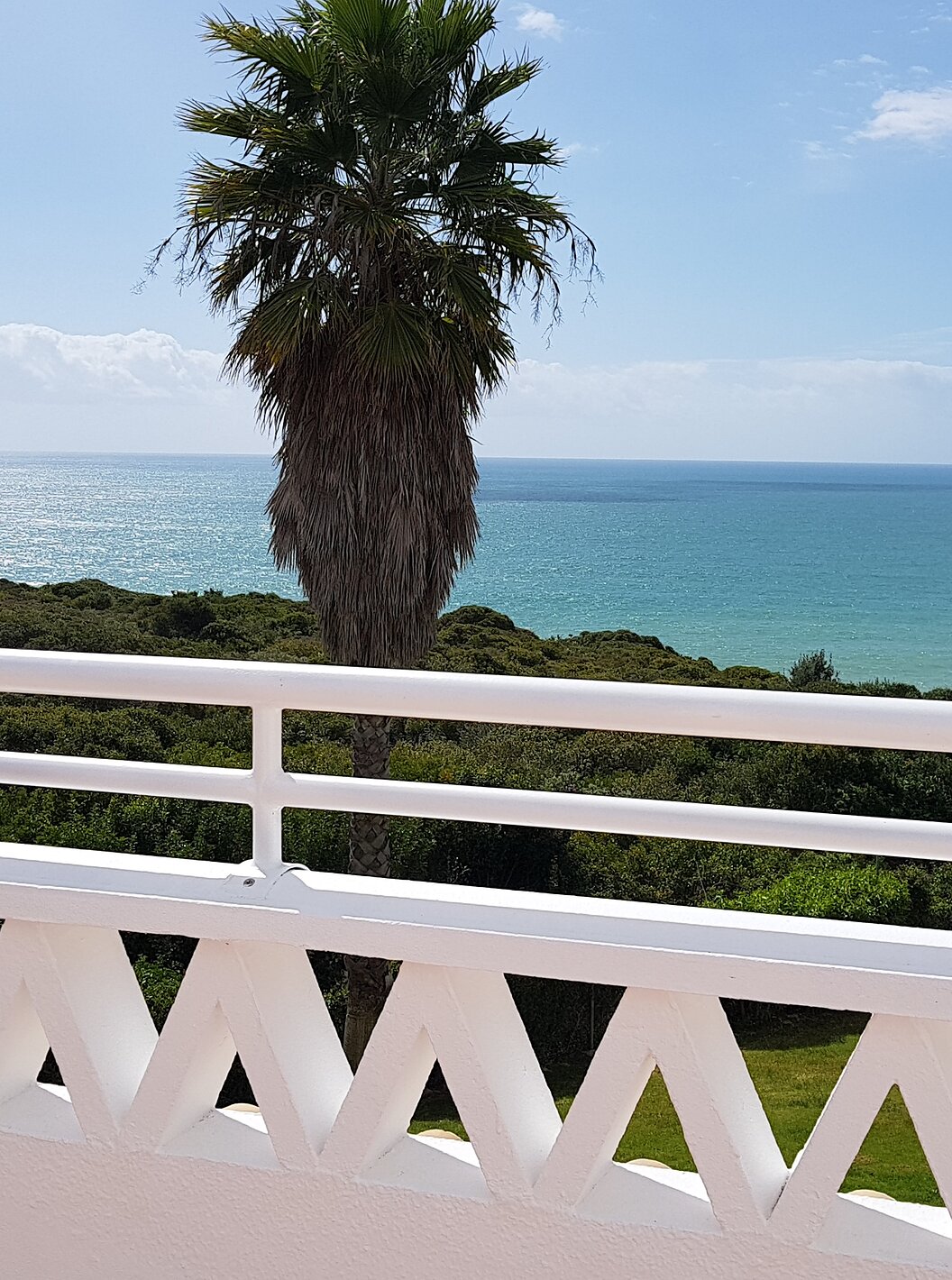 O Apartamento T2 Premium do Pestana Palm Gardens tem uma varanda com vista para o jardim verde, palmeiras e para o mar