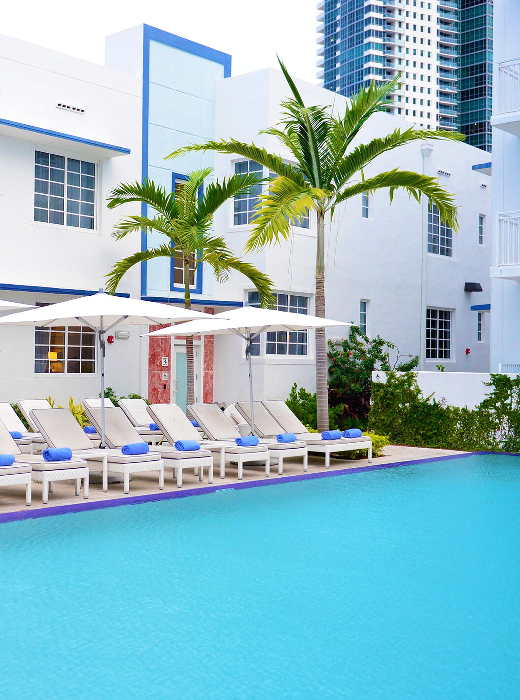 O Superior King, Vista para a piscina do Pestana Miami South Beach é uma piscina moderna com espreguiçadeiras brancas