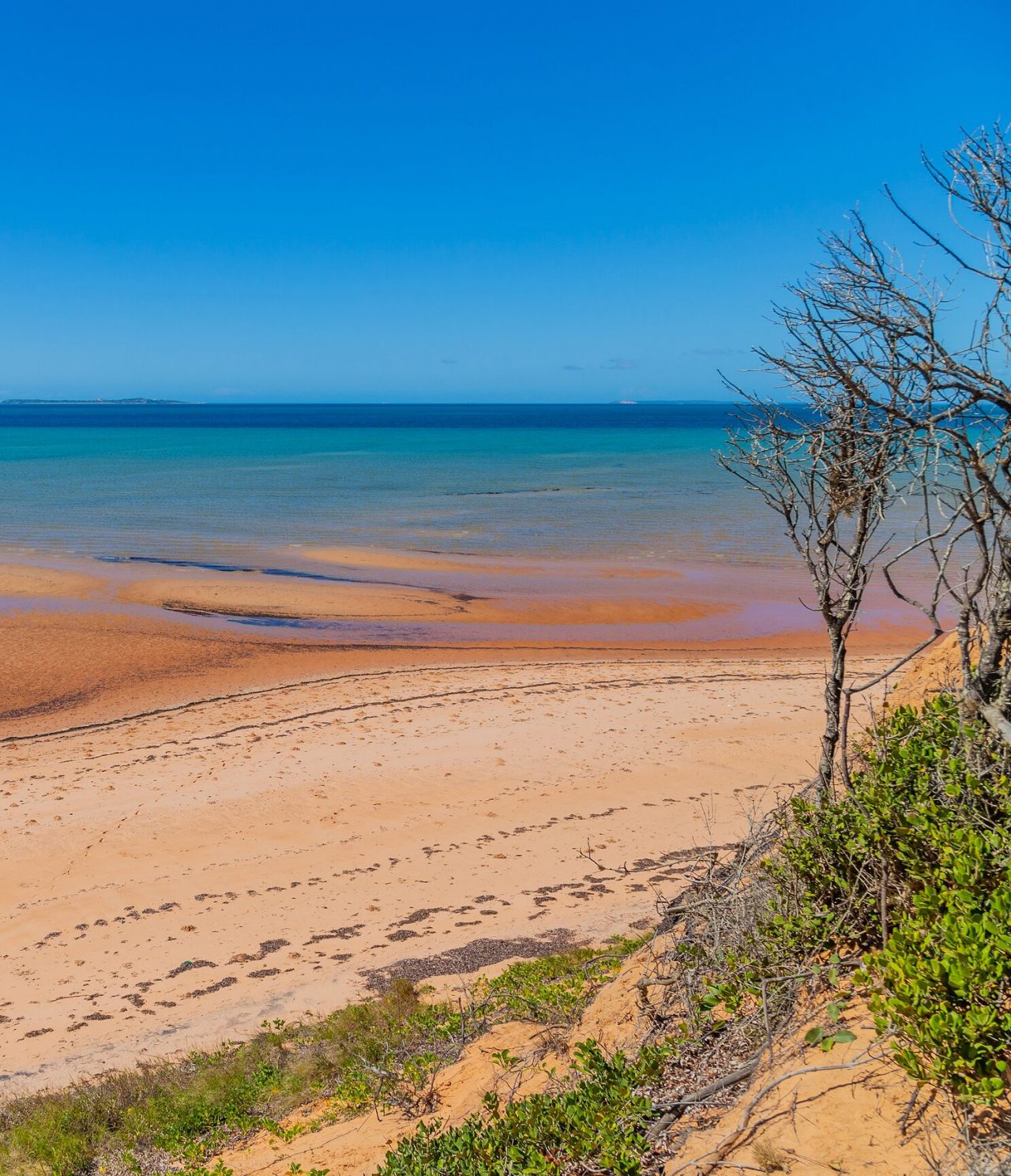 Uitzicht op een verlaten strand in Maputo met enkele bomen en de blauwe zee op de achtergrond