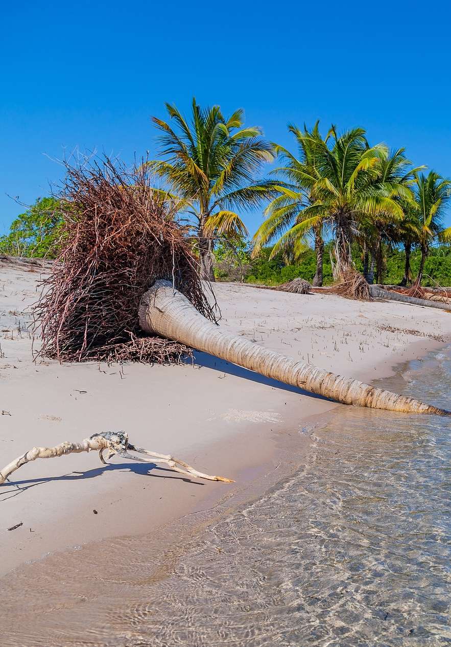 Ilha Inhaca, een paradijs met witte zandstranden, kristalhelder water en palmbomen