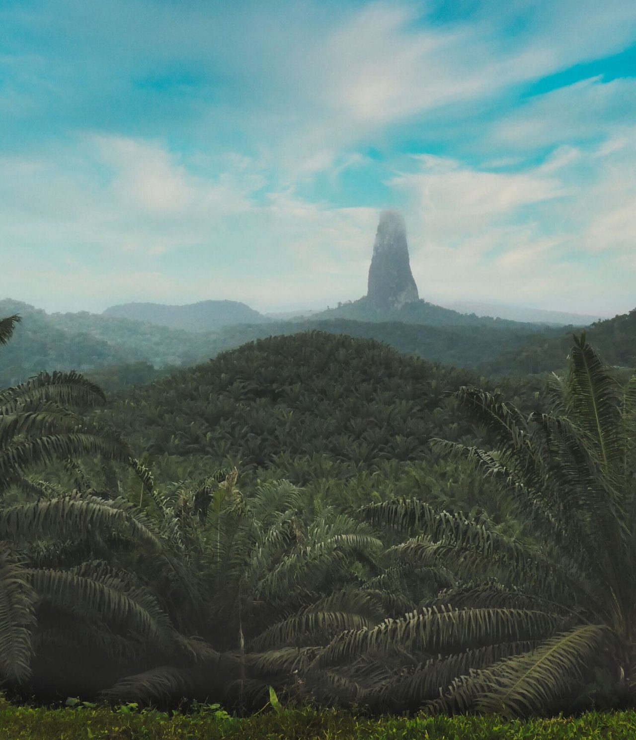 Uitzicht op een bos op het eiland São Tomé en Príncipe, met wat mist op de achtergrond en een blauwe lucht