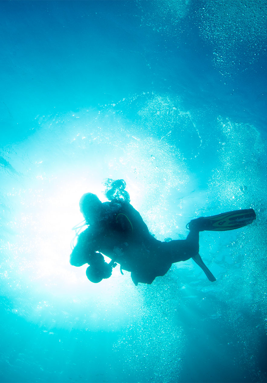 In het Ocean Revival Park heb je de kans om te duiken in vier schepen en ze te verkennen