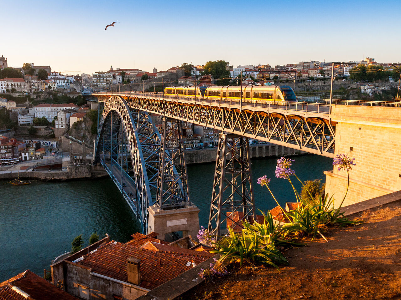 Uitzicht op de Dom Luís I-brug, een icoon van Porto, met de Douro-rivier en historische gebouwen