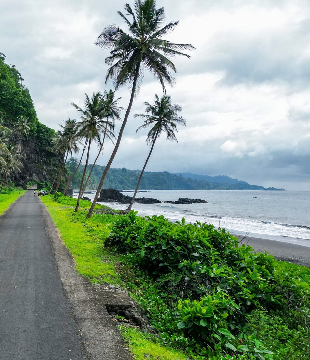 View of an asphalt road in São Tomé and Príncipe, by the sea, with vegetation around
