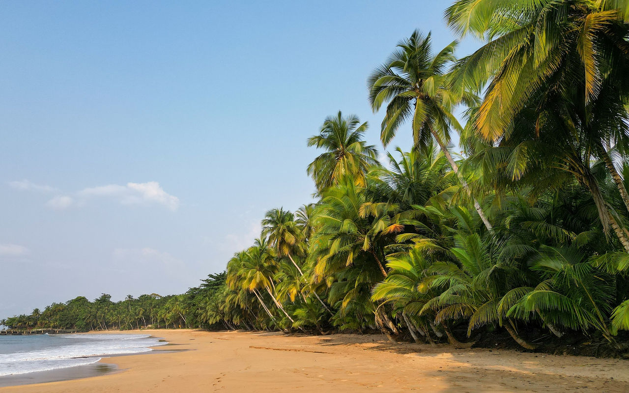 Discover on Pestana Stories, our tips for your next trip to São Tomé