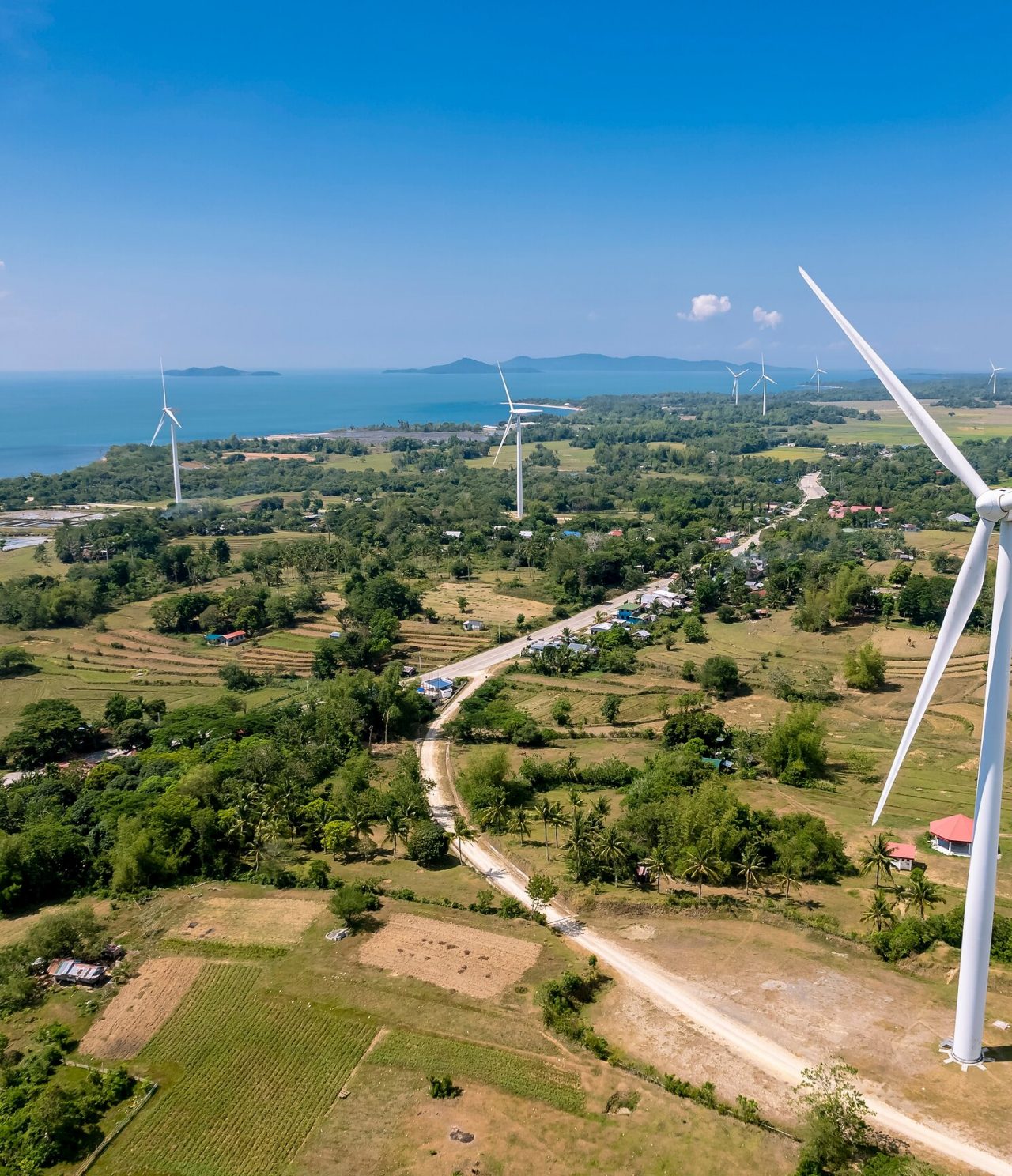 Aerial view of several wind turbines among vegetation, with a road in between, and the sea in the background